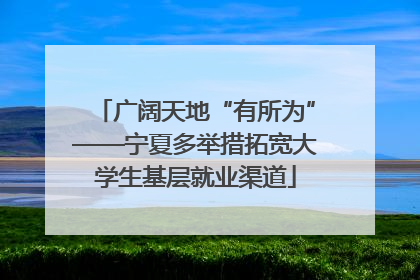 广阔天地“有所为”——宁夏多举措拓宽大学生基层就业渠道