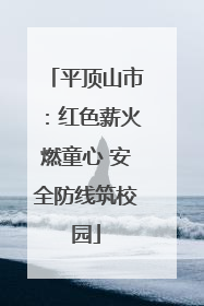平顶山市：红色薪火燃童心 安全防线筑校园