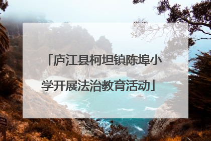 庐江县柯坦镇陈埠小学开展法治教育活动