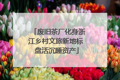 废旧茶厂化身浙江乡村文旅新地标 盘活沉睡资产