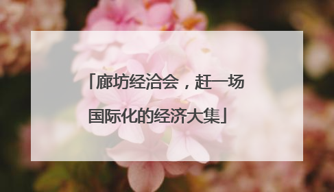 廊坊经洽会，赶一场国际化的经济大集