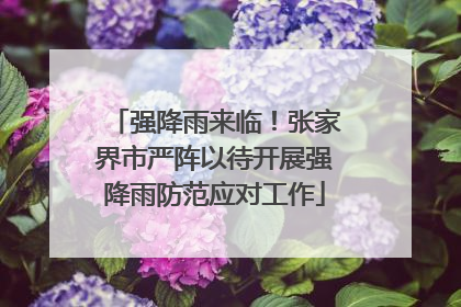 强降雨来临！张家界市严阵以待开展强降雨防范应对工作
