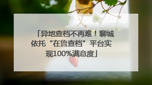 异地查档不再难！聊城依托“在鲁查档”平台实现100%满意度