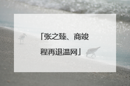 张之臻、商竣程再退温网