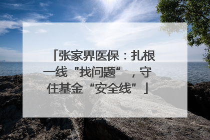张家界医保：扎根一线“找问题”，守住基金“安全线”