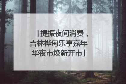 提振夜间消费，吉林桦甸乐享嘉年华夜市焕新开市