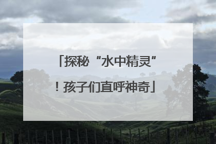 探秘“水中精灵”！孩子们直呼神奇
