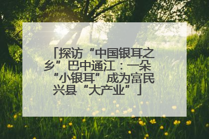 探访“中国银耳之乡”巴中通江：一朵“小银耳”成为富民兴县“大产业”