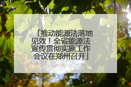 推动能源法落地见效！全省能源法宣传贯彻实施工作会议在郑州召开