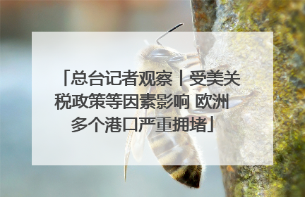 总台记者观察丨受美关税政策等因素影响 欧洲多个港口严重拥堵