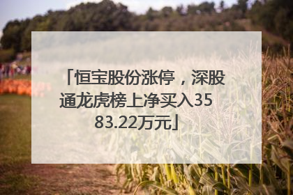 恒宝股份涨停，深股通龙虎榜上净买入3583.22万元