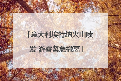 意大利埃特纳火山喷发 游客紧急撤离