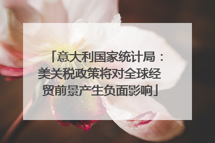意大利国家统计局：美关税政策将对全球经贸前景产生负面影响