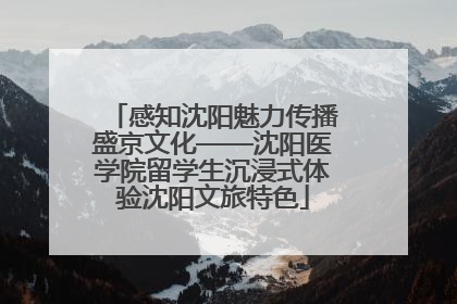 感知沈阳魅力传播盛京文化——沈阳医学院留学生沉浸式体验沈阳文旅特色