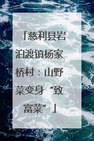 慈利县岩泊渡镇杨家桥村：山野菜变身“致富菜”