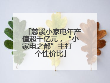 慈溪小家电年产值超千亿元，“小家电之都”主打一个性价比