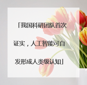 我国科研团队首次证实，人工智能可自发形成人类级认知