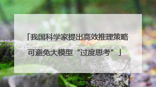我国科学家提出高效推理策略 可避免大模型“过度思考”