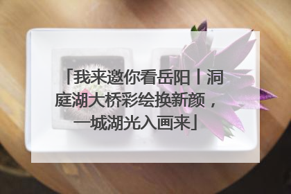 我来邀你看岳阳丨洞庭湖大桥彩绘换新颜，一城湖光入画来