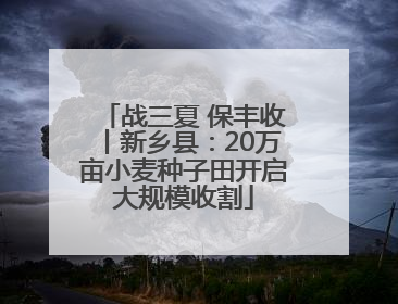 战三夏 保丰收丨新乡县：20万亩小麦种子田开启大规模收割