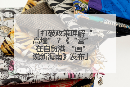 打破政策理解“高墙”？《“营”在自贸港 “画”说新海南》发布