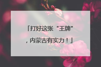 打好这张“王牌”，内蒙古有实力！