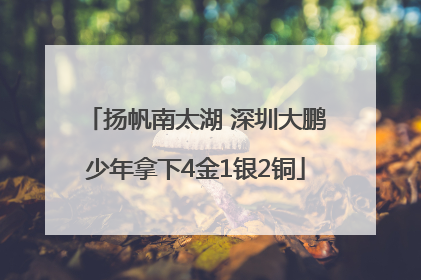 扬帆南太湖 深圳大鹏少年拿下4金1银2铜