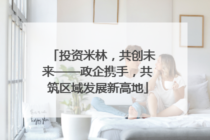 投资米林，共创未来——政企携手，共筑区域发展新高地