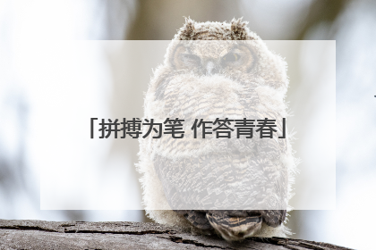 拼搏为笔 作答青春