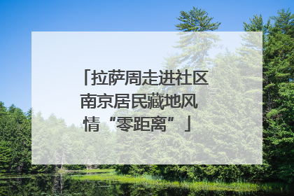 拉萨周走进社区 南京居民藏地风情“零距离”