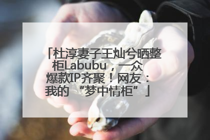 杜淳妻子王灿兮晒整柜Labubu，一众爆款IP齐聚！网友：我的 “梦中情柜”
