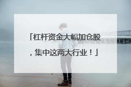 杠杆资金大幅加仓股，集中这两大行业！
