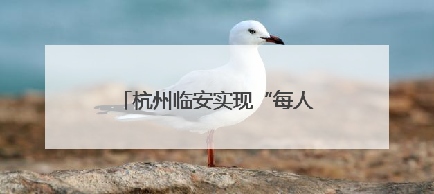 杭州临安实现“每人一千瓦光伏”目标