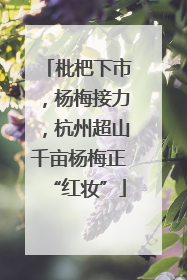枇杷下市，杨梅接力，杭州超山千亩杨梅正“红妆”