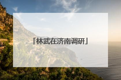 林武在济南调研