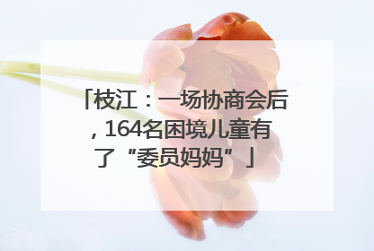 枝江：一场协商会后，164名困境儿童有了“委员妈妈”