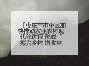 枣庄市市中区加快推动农业农村现代化进程 形成“振兴乡村 增收富农”新格局