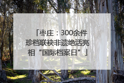 枣庄：300余件珍档联袂非遗绝活亮相“国际档案日”