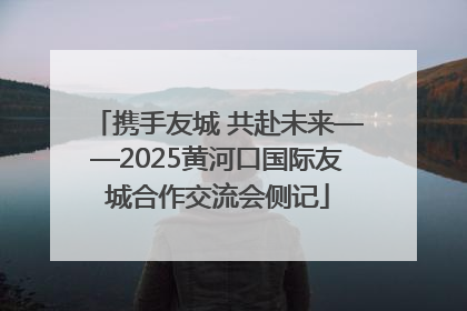 携手友城 共赴未来——2025黄河口国际友城合作交流会侧记