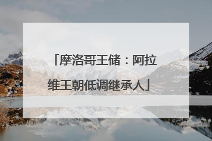 摩洛哥王储：阿拉维王朝低调继承人