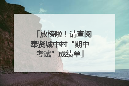 放榜啦！请查阅奉贤城中村“期中考试”成绩单