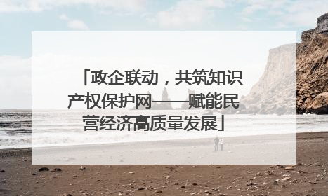 政企联动，共筑知识产权保护网——赋能民营经济高质量发展
