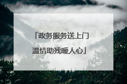 政务服务送上门 温情助残暖人心