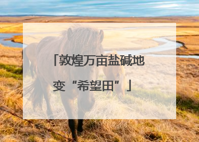 敦煌万亩盐碱地变“希望田”
