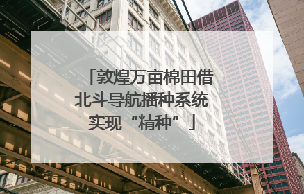 敦煌万亩棉田借北斗导航播种系统实现“精种”