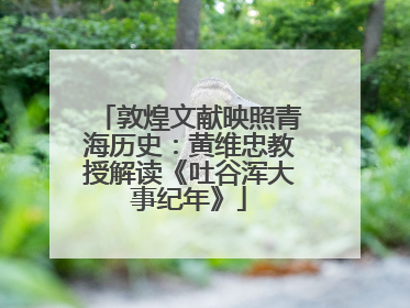 敦煌文献映照青海历史：黄维忠教授解读《吐谷浑大事纪年》
