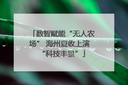 数智赋能“无人农场” 海州夏收上演“科技丰景”