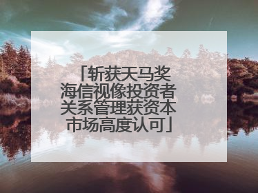 斩获天马奖 海信视像投资者关系管理获资本市场高度认可
