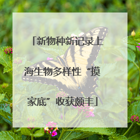 新物种新记录上海生物多样性“摸家底”收获颇丰