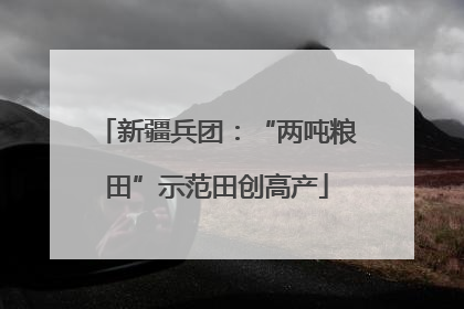 新疆兵团：“两吨粮田”示范田创高产